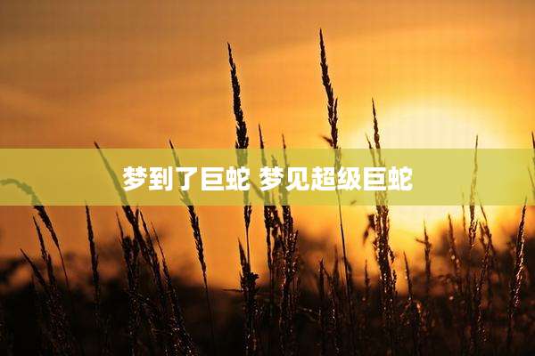 梦到了巨蛇 梦见超级巨蛇