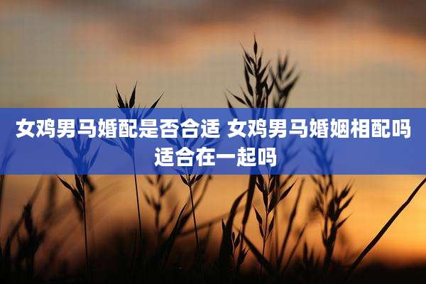 女鸡男马婚配是否合适 女鸡男马婚姻相配吗 适合在一起吗