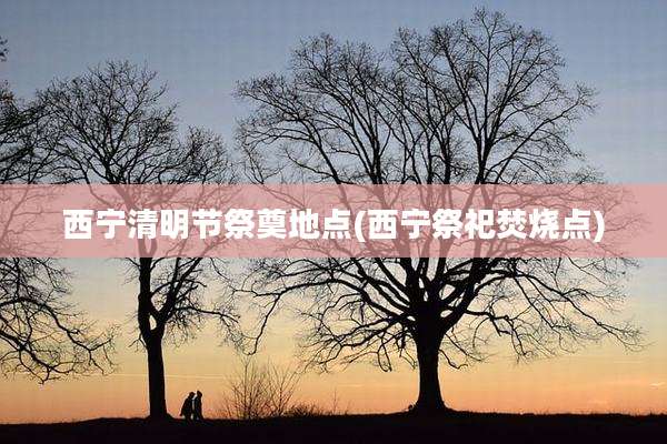 西宁清明节祭奠地点(西宁祭祀焚烧点)