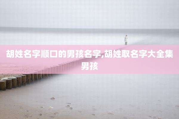 胡姓名字顺口的男孩名字,胡姓取名字大全集男孩