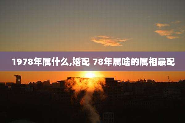 1978年属什么,婚配 78年属啥的属相最配