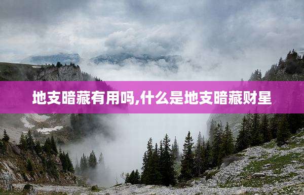 地支暗藏有用吗,什么是地支暗藏财星