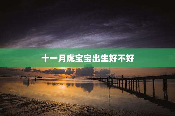 十一月虎宝宝出生好不好