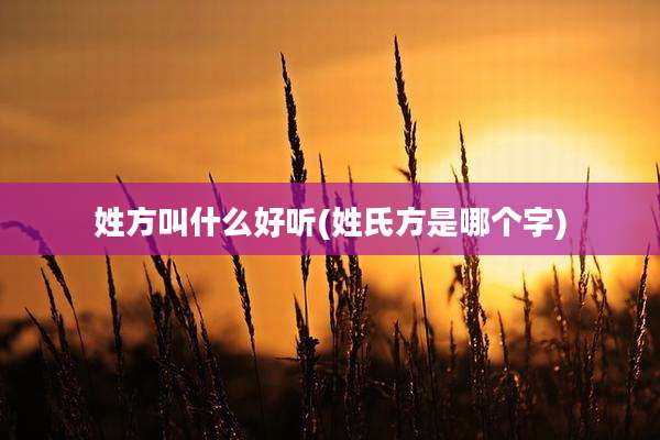 姓方叫什么好听(姓氏方是哪个字)