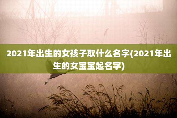 2021年出生的女孩子取什么名字(2021年出生的女宝宝起名字)