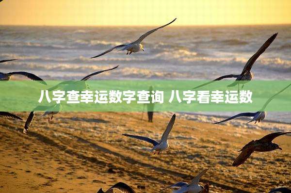 八字查幸运数字查询 八字看幸运数