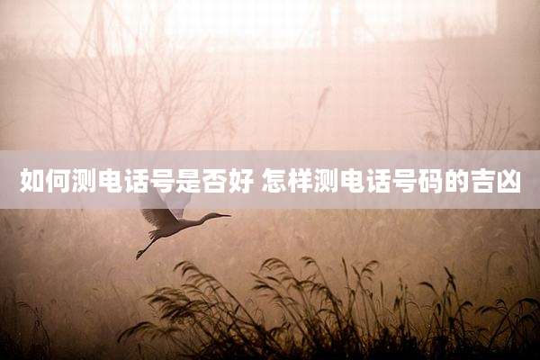 如何测电话号是否好 怎样测电话号码的吉凶