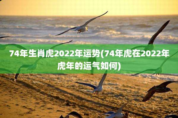 74年生肖虎2022年运势(74年虎在2022年虎年的运气如何)