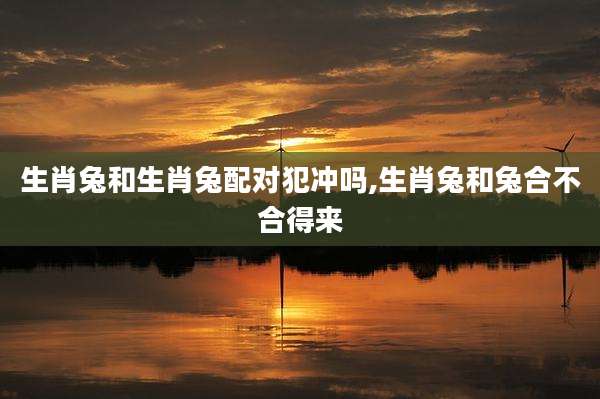 生肖兔和生肖兔配对犯冲吗,生肖兔和兔合不合得来