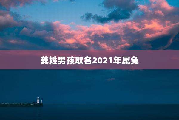 龚姓男孩取名2021年属兔