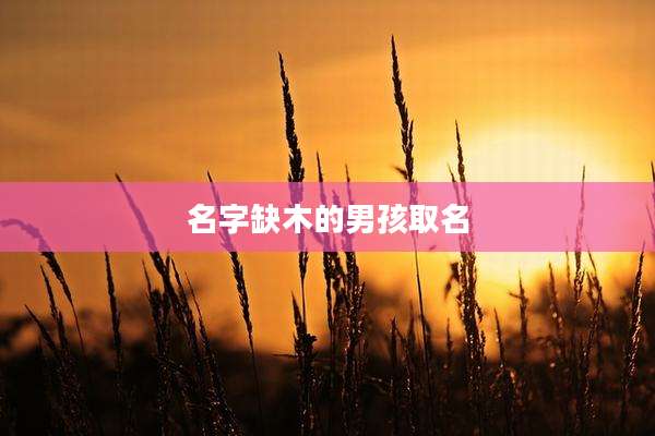 名字缺木的男孩取名