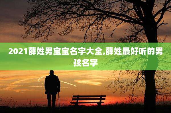 2021薛姓男宝宝名字大全,薛姓最好听的男孩名字