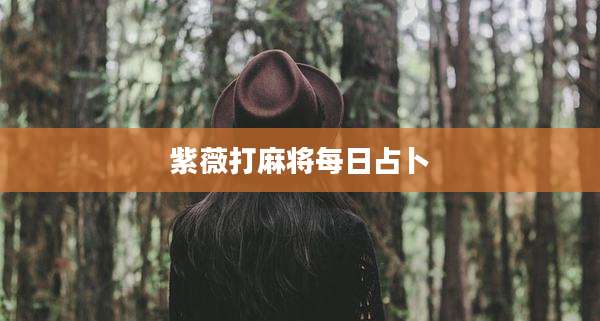 紫薇打麻将每日占卜