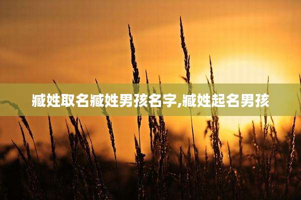 臧姓取名臧姓男孩名字,臧姓起名男孩
