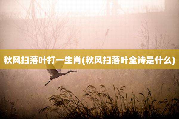 秋风扫落叶打一生肖(秋风扫落叶全诗是什么)