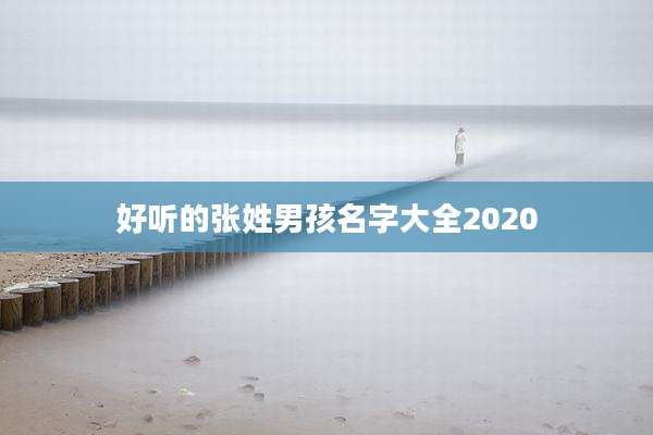 好听的张姓男孩名字大全2020