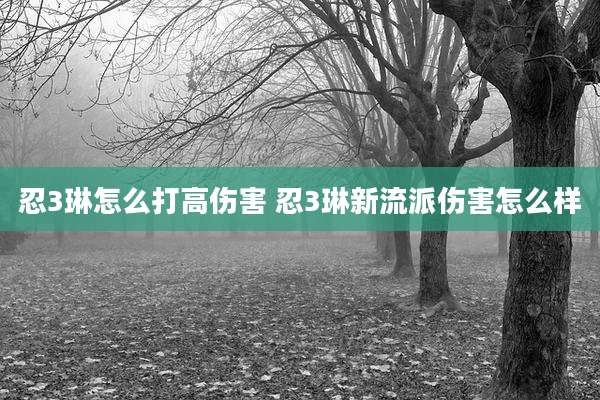 忍3琳怎么打高伤害 忍3琳新流派伤害怎么样