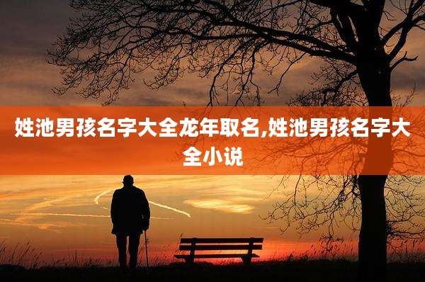 姓池男孩名字大全龙年取名,姓池男孩名字大全小说