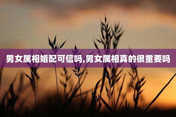 男女属相婚配可信吗,男女属相真的很重要吗