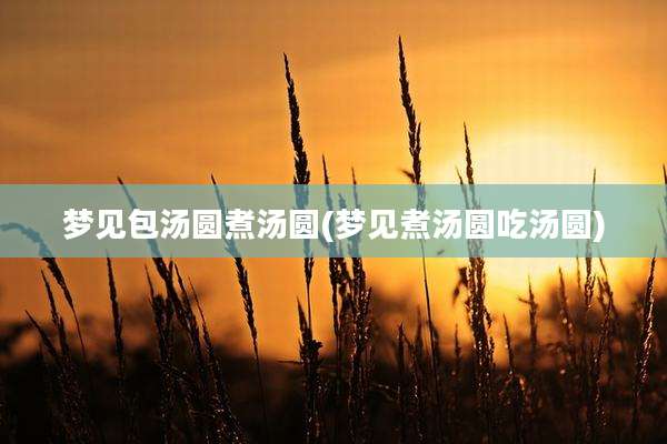 梦见包汤圆煮汤圆(梦见煮汤圆吃汤圆)