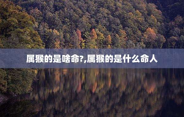 属猴的是啥命?,属猴的是什么命人