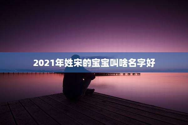 2021年姓宋的宝宝叫啥名字好