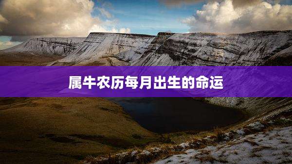 属牛农历每月出生的命运