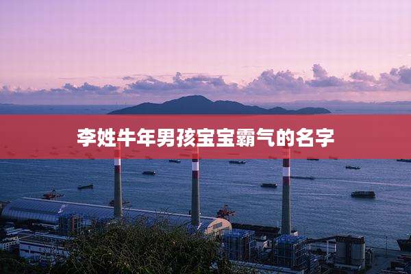 李姓牛年男孩宝宝霸气的名字