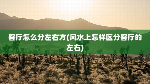 客厅怎么分左右方(风水上怎样区分客厅的左右)