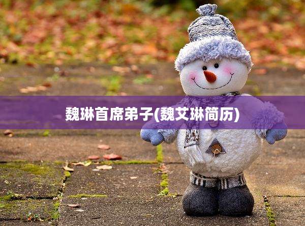 魏琳首席弟子(魏艾琳简历)