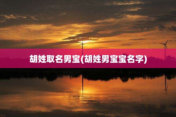 胡姓取名男宝(胡姓男宝宝名字)