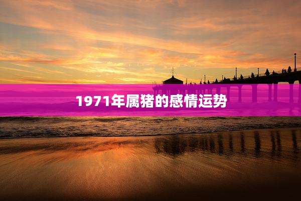 1971年属猪的感情运势