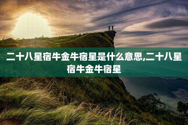 二十八星宿牛金牛宿星是什么意思,二十八星宿牛金牛宿星