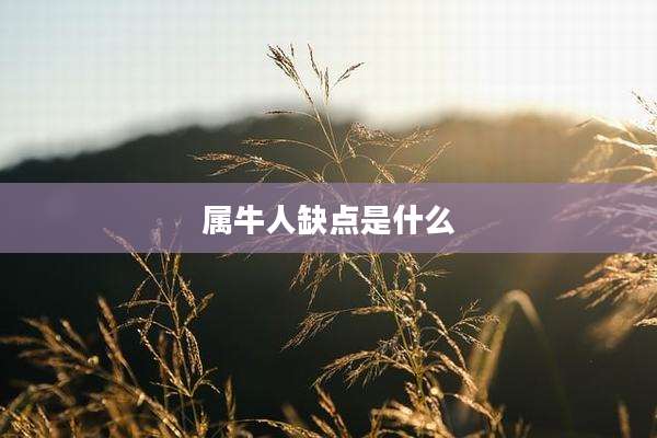 属牛人缺点是什么