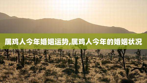 属鸡人今年婚姻运势,属鸡人今年的婚姻状况