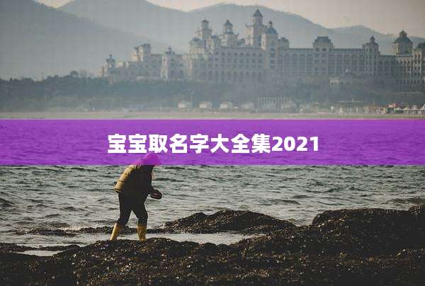 宝宝取名字大全集2021