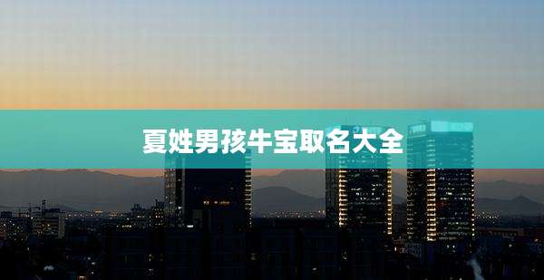 夏姓男孩牛宝取名大全