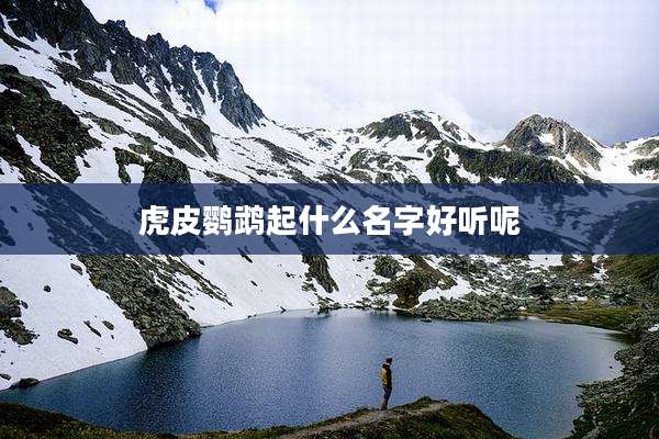 虎皮鹦鹉起什么名字好听呢