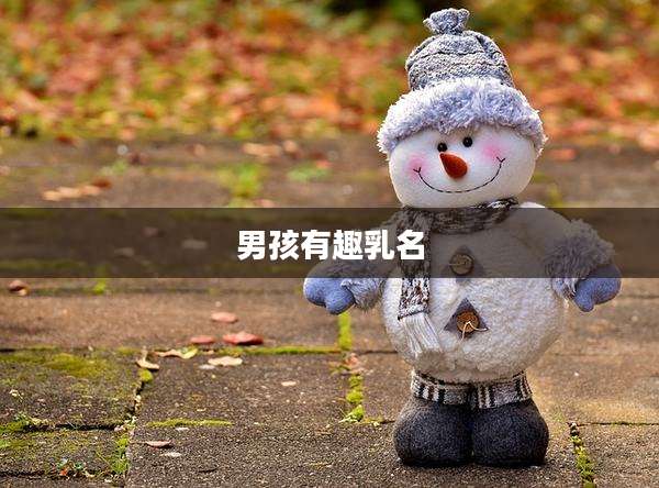 男孩有趣乳名