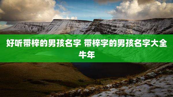 好听带梓的男孩名字 带梓字的男孩名字大全牛年