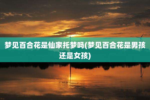 梦见百合花是仙家托梦吗(梦见百合花是男孩还是女孩)