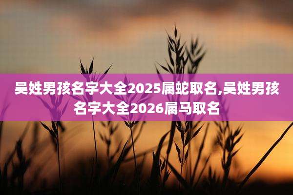 吴姓男孩名字大全2025属蛇取名,吴姓男孩名字大全2026属马取名