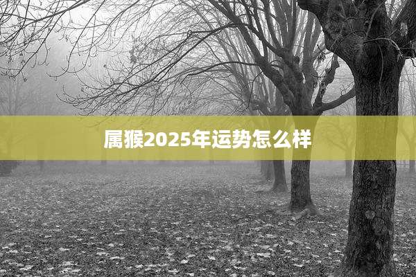 属猴2025年运势怎么样