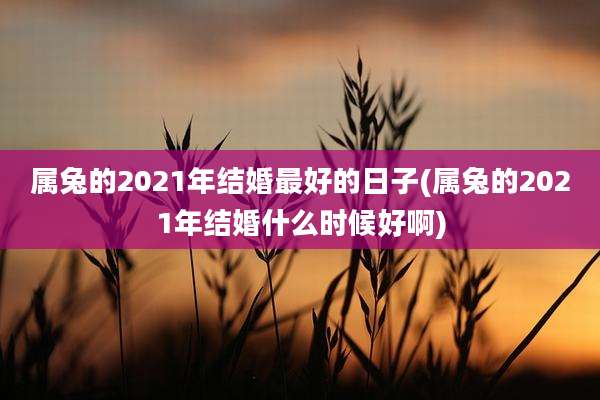 属兔的2021年结婚最好的日子(属兔的2021年结婚什么时候好啊)