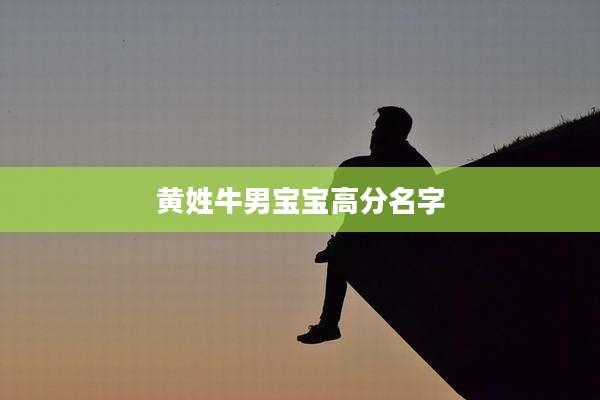 黄姓牛男宝宝高分名字