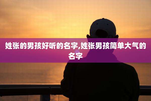 姓张的男孩好听的名字,姓张男孩简单大气的名字