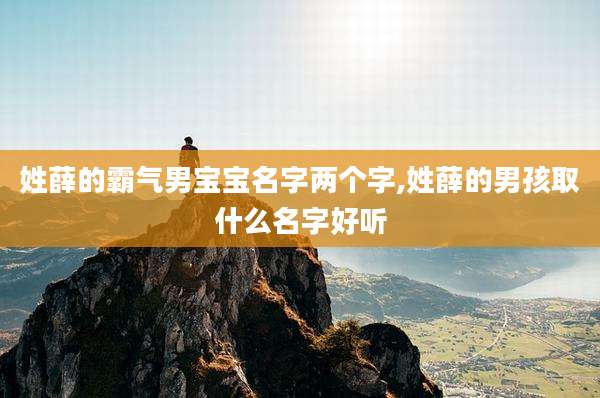 姓薛的霸气男宝宝名字两个字,姓薛的男孩取什么名字好听