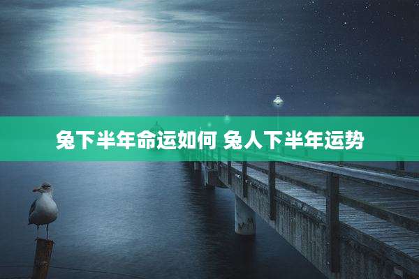 兔下半年命运如何 兔人下半年运势