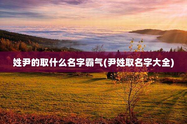 姓尹的取什么名字霸气(尹姓取名字大全)