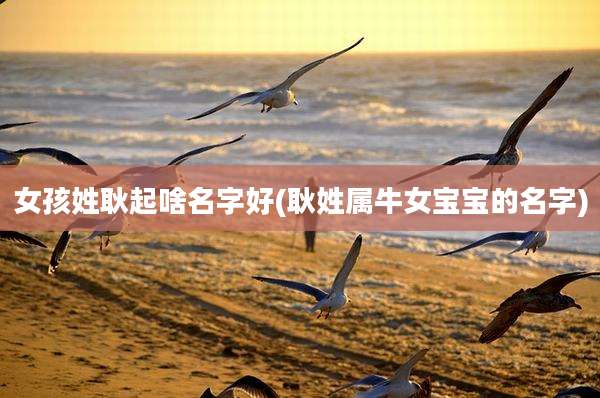 女孩姓耿起啥名字好(耿姓属牛女宝宝的名字)